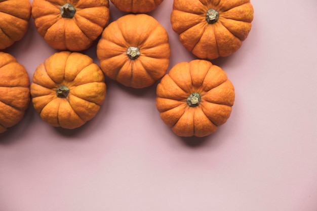 Calabazas de otoño sobre un fondo rosa pastel