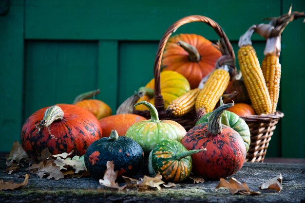 Calabazas en otoño Tarjeta de Acción de Gracias