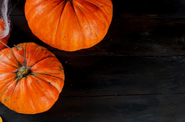 Calabazas de otoño, telaraña y araña en negro.