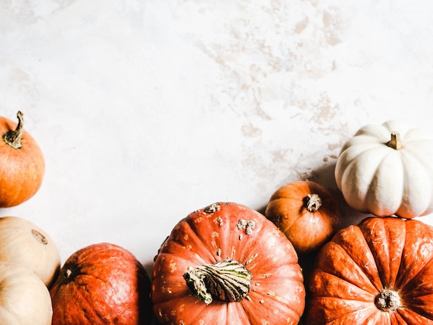 Calabazas de otoño de varios tamaños y colores vista superior. copyspace