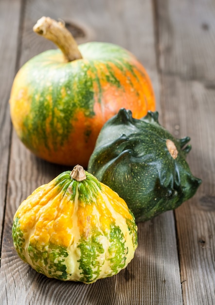 Calabazas de otoño