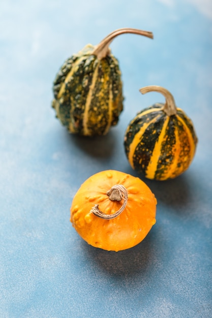 Calabazas pequeñas naranjas frescas