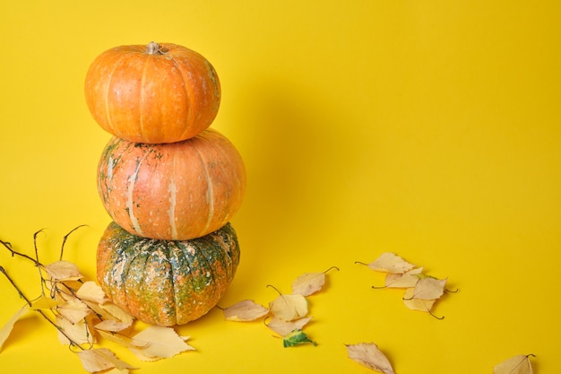 Calabazas de pie una encima de la otra sobre un fondo amarillo