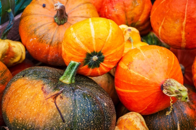 Calabazas en el puesto del mercado para la venta