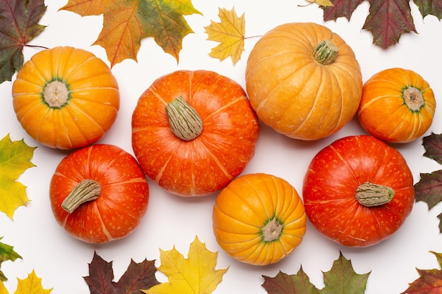 Calabazas redondas anaranjadas maduras, hojas secas de arce canadiense.