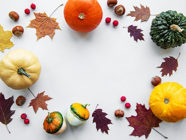 Calabazas sobre un fondo blanco