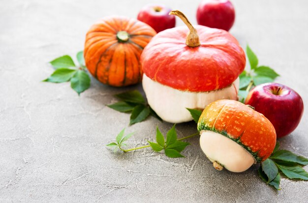 Calabazas sobre un fondo de hormigón.