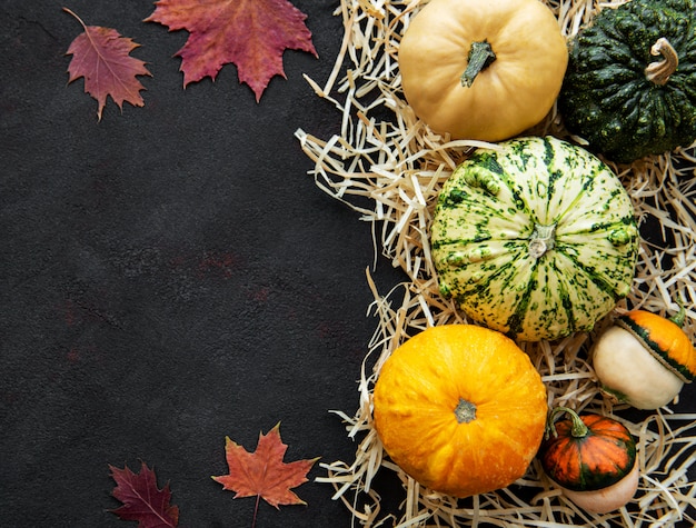 Calabazas sobre un fondo negro