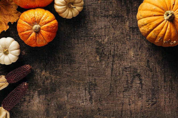 Foto calabazas sobre un fondo oscuro