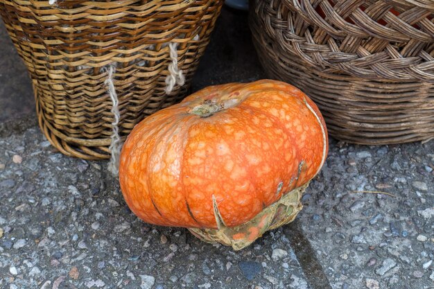 Calabazas en el suelo