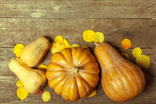 Calabazas en tablero de madera