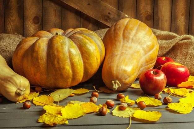 Calabazas en tablero de madera