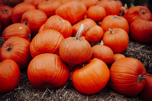 Calabazas a la venta en un mercado al aire libre en otoño