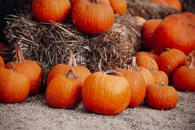 Calabazas a la venta en un mercado al aire libre en otoño