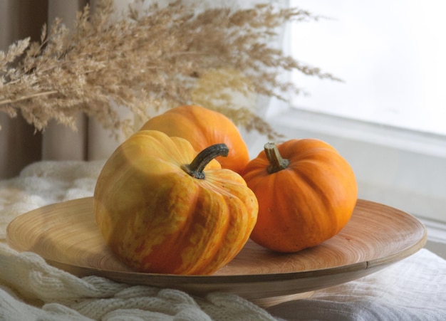 las calabazas yacen sobre un soporte de madera en tonos otoñales claros contra el fondo de la ventana