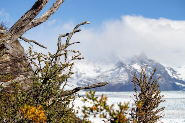 Foto el calafate argentina patagonia paisaje