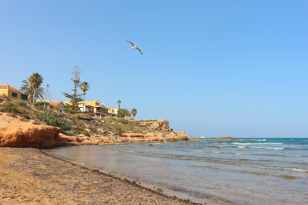 Calas de Torrevieja rocas junto al mar