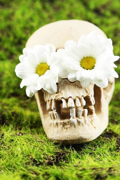 Calavera con flores sobre fondo de hierba verde