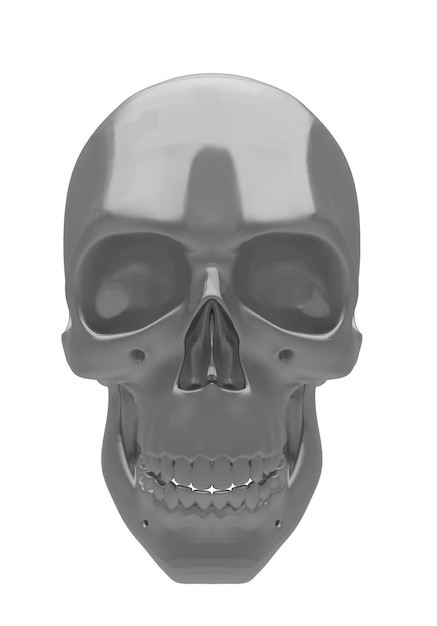Calavera gris con dientes completos sin fondo