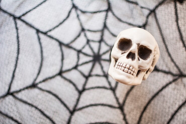 Calavera de Halloween sobre un fondo borroso con textura de telaraña