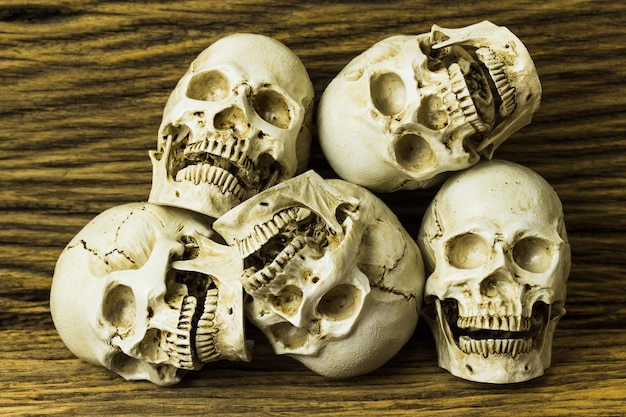 Foto calaveras en el fondo de madera