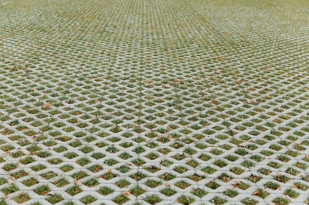 Calçada de treliça e grama verde nos buracos. Ladrilhos ao ar livre.