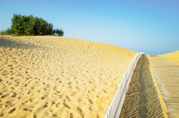 Calçadão de madeira para a praia. colinas de areia na praia e um caminho que conduz ao mar.