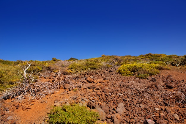 La Caldera de Taburiente Montaña La Palma