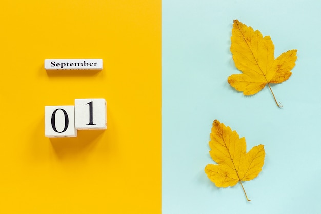 calendario 1 de septiembre y hojas amarillas de otoño en azul amarillo