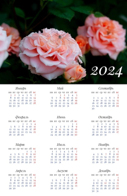 Calendario para 2024 Calendario de una página de gran formato Calendario ruso con una foto de rosas