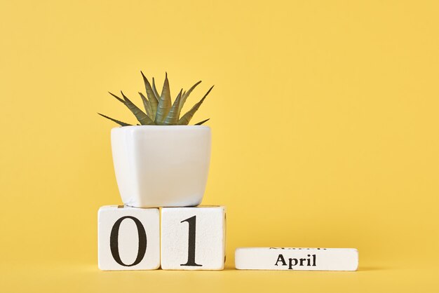 Calendario de bloques de madera con fecha 1 de abril y planta sobre fondo amarillo. Concepto del día de los inocentes