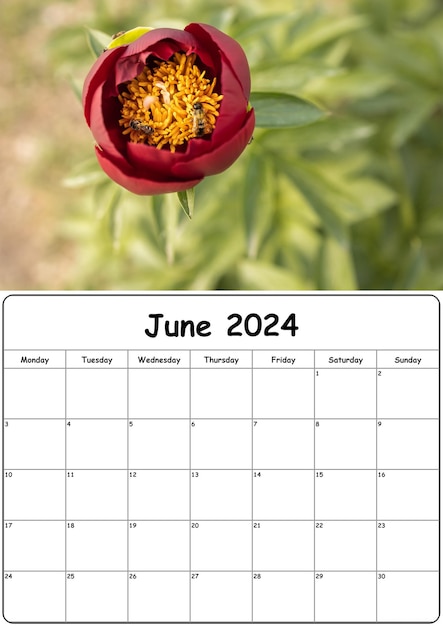 Foto calendário com fotos da natureza para junho de 2024