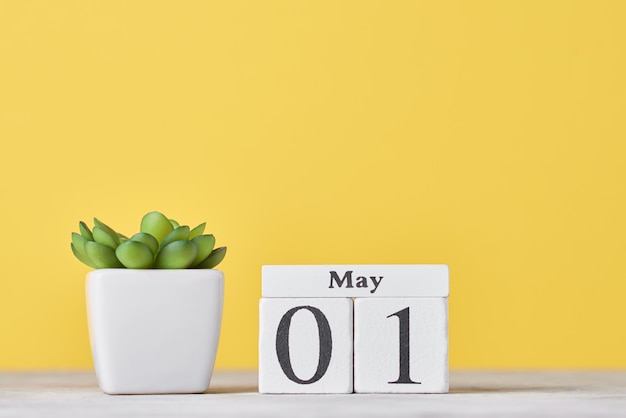 Foto calendário de blocos de madeira com data 1 de maio e planta suculenta em panela no fundo amarelo. conceito do dia do trabalho
