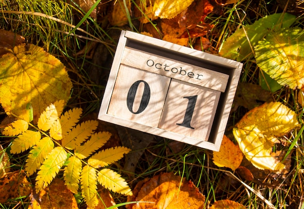 Foto calendário de madeira com 1 de outubro em folhas de outono na grama