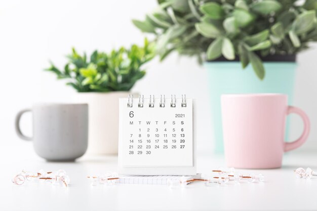 Foto calendário e alfinetes com copos pastel e planta em vasos