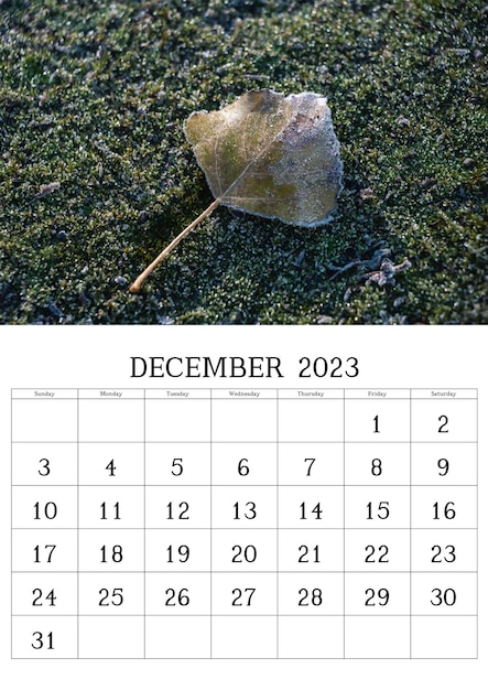 Calendario con fotografías de la naturaleza para diciembre de 2023