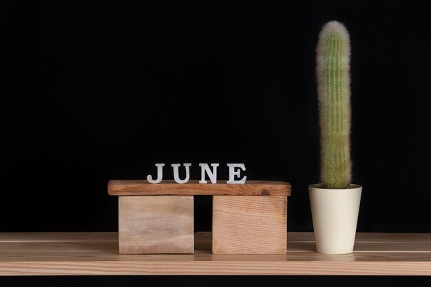 Calendario de madera de junio y cactus sobre fondo negro Mock up