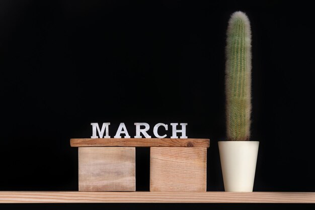 Calendario de madera de marzo y cactus sobre fondo negro Mock up