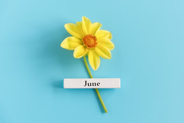 Calendario de madera verano mes de junio y flor amarilla sobre fondo azul. Copia espacio Estilo minimalista.