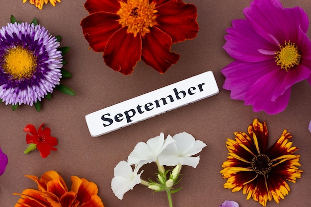 Calendário outono mês setembro e flores brilhantes em fundo marrom Vista superior Flat lay Conceito mínimo Olá outono Modelo para o seu cartão de design