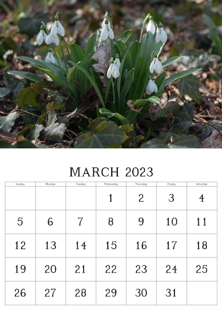 Calendário para março de 2023