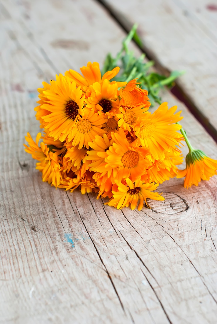 Foto calendula officinalis auf dem hölzernen hintergrund