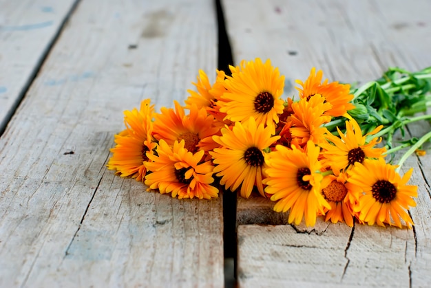 Calendula officinalis en el fondo de madera