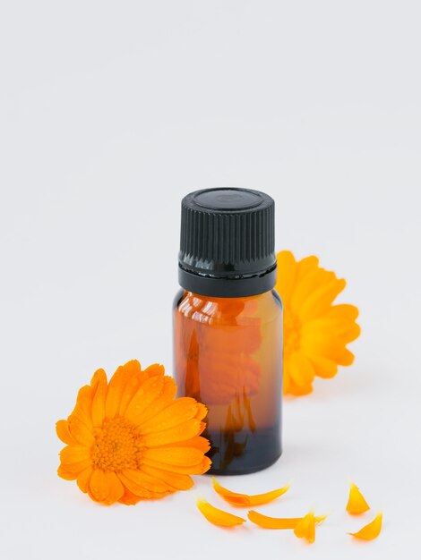 Calendula-Produkte. Flasche ätherisches Öl und frische Ringelblumenblüten auf Weiß