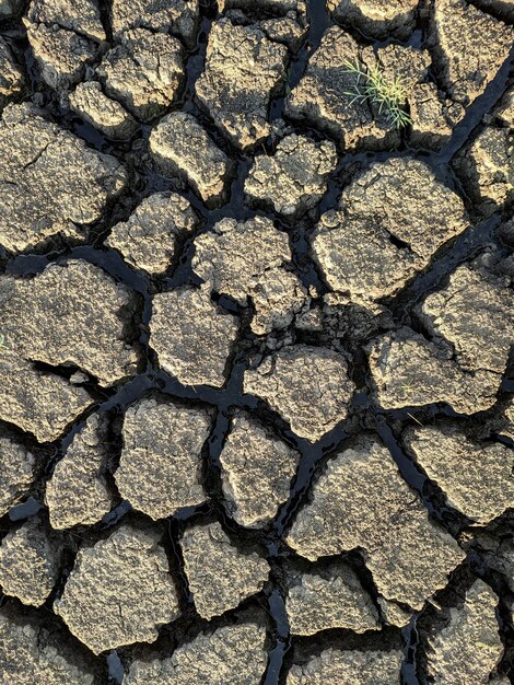 Calentamiento global de la textura del fondo del fondo del lago agrietado seco