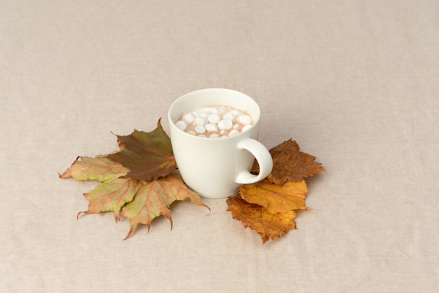 Calentamiento con taza de cacao.