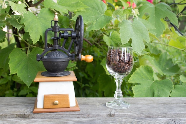 Cálice de vidro moedor de café vintage com grãos de café na natureza