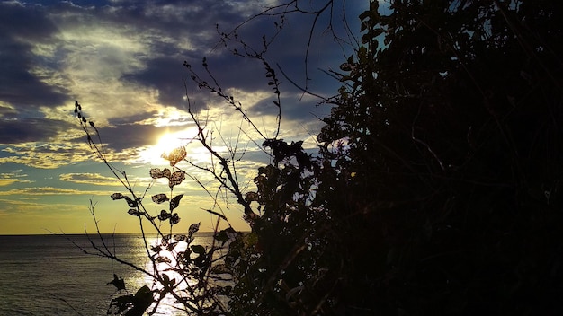 cálido atardecer junto al mar