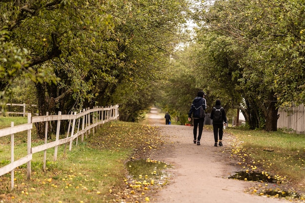 cálido día tranquilo en el parque de otoño