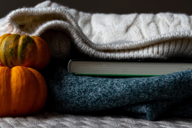 Cálidos suéteres de punto y un libro interesante para las tardes de otoño.